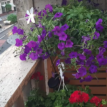 Old Town 2 Bedrooms With Balcony By Orchid Garden * 布加勒斯特