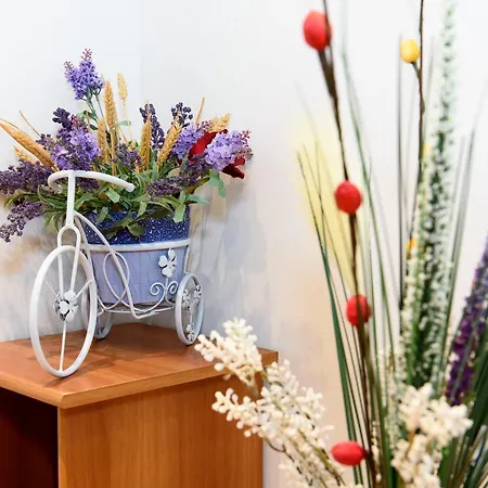 Old Town 2 Bedrooms With Balcony By Orchid Garden Apartment Bucharest